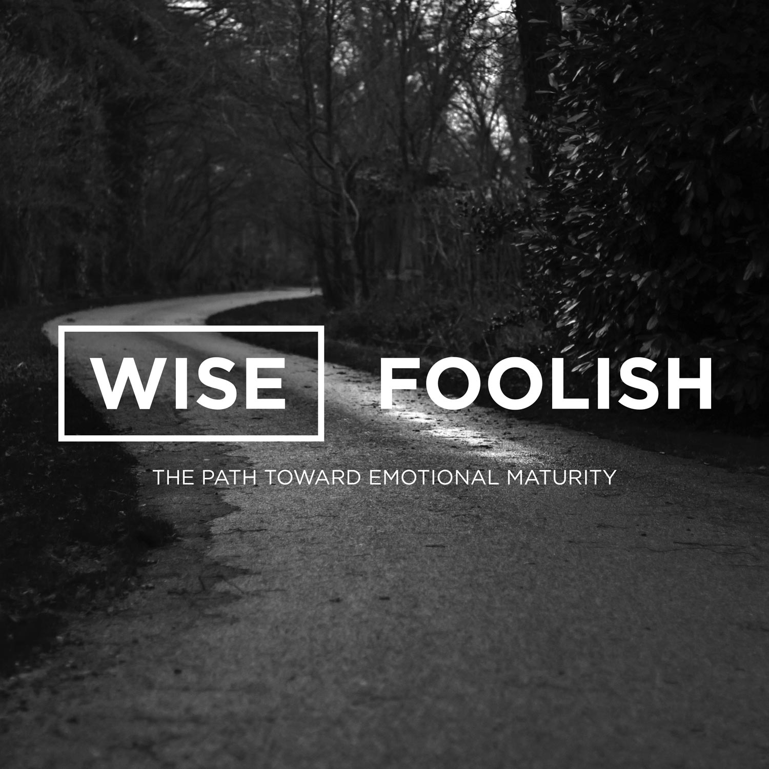 What Makes A Person Wise Or Foolish