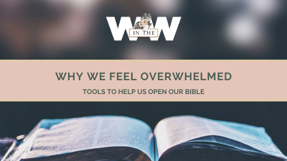 why-we-feel-overwhelmed-tools-to-help-us-read-our-bibles-grace